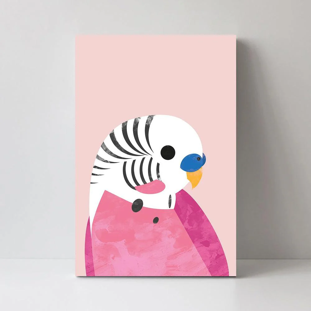 Budgie - Image 3