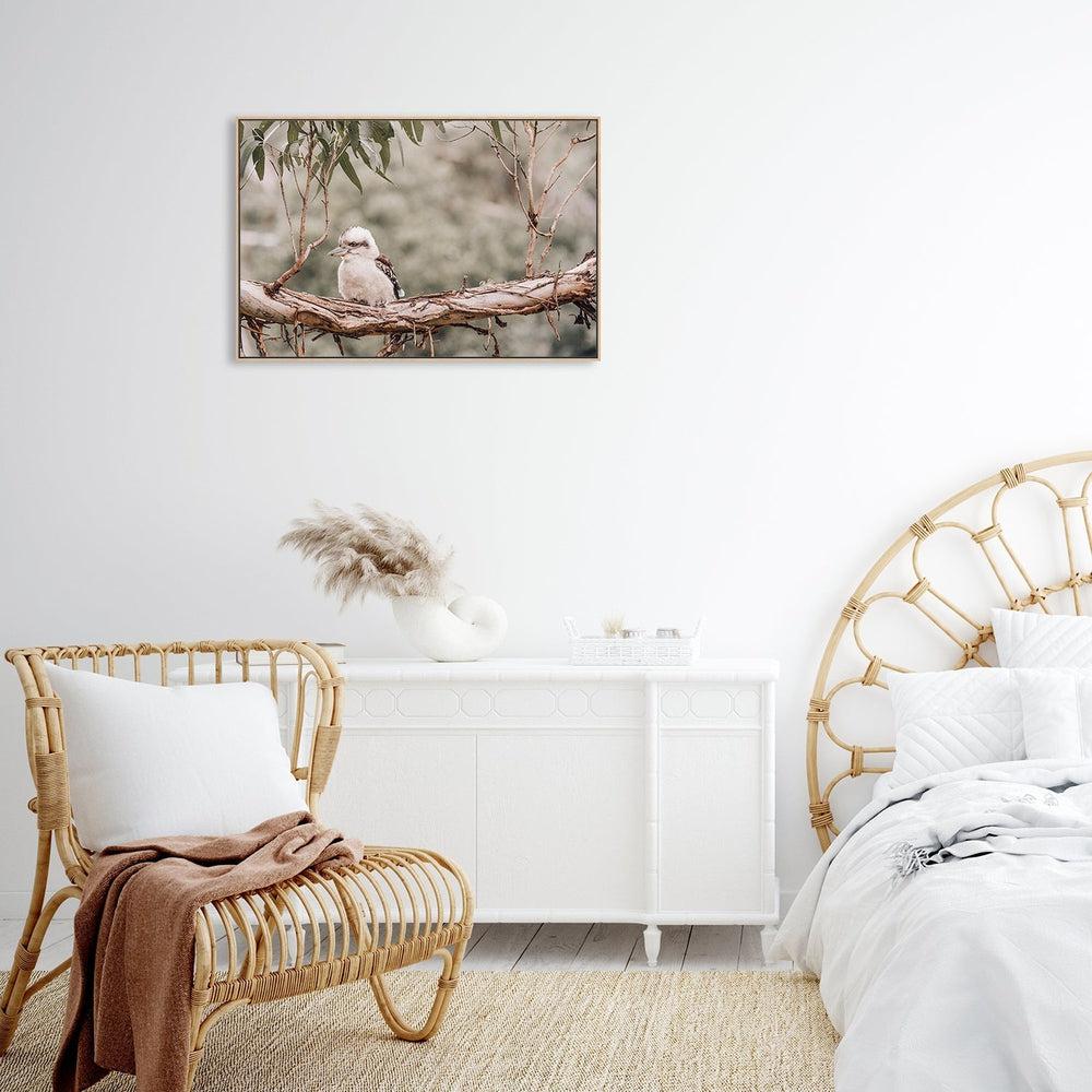 Kookaburra Resting On Gum Tree - Image 4