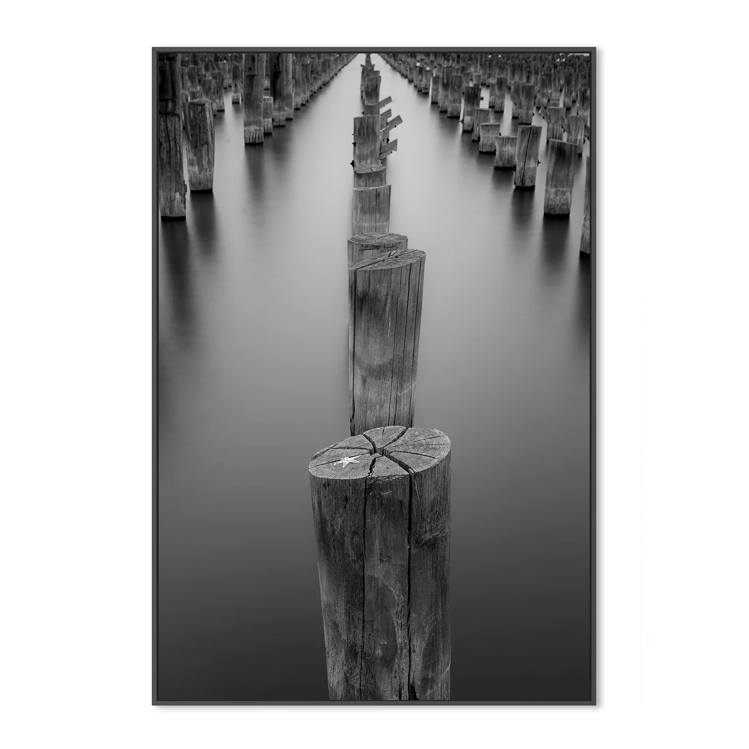 Princess pier (Melbourne) - Image 3