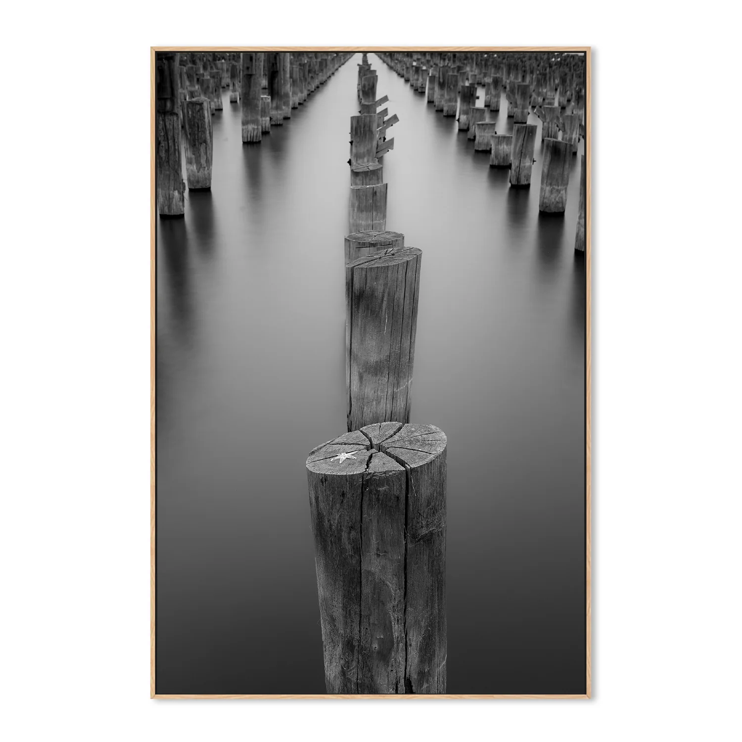 Princess pier (Melbourne) - Image 4