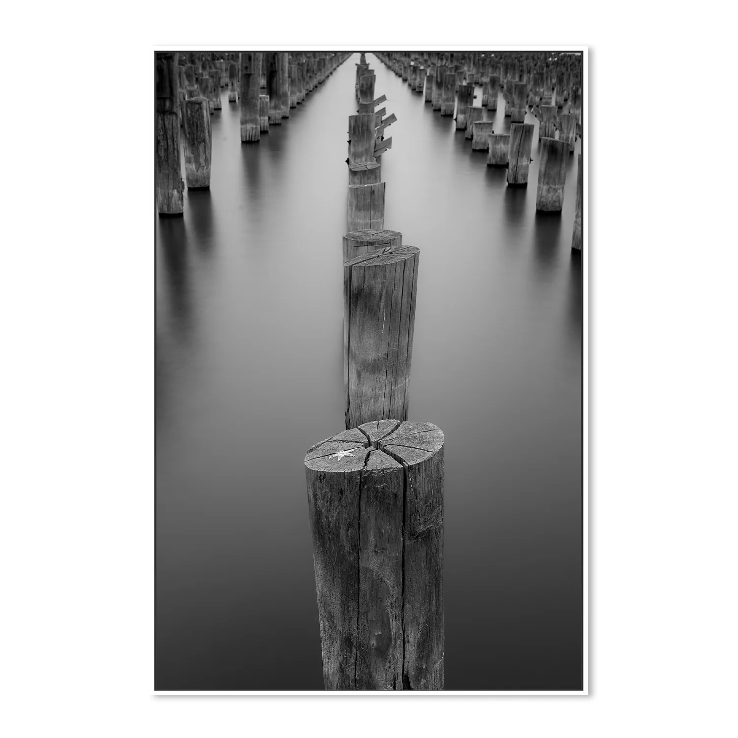 Princess pier (Melbourne) - Image 5
